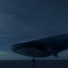 Requiem 2019 : la dernière baleine bleu face à son pire ennemi