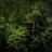 Finca Bellavista : Un hôtel à la cime des arbres