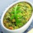 Terrine de fanes aux flocons