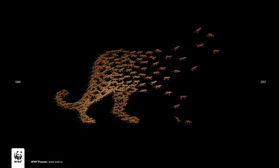 WWF_Leopards_ads