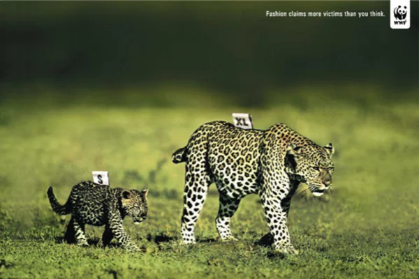 pub-WWF