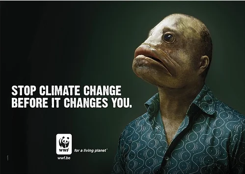 wwf-belgique-2
