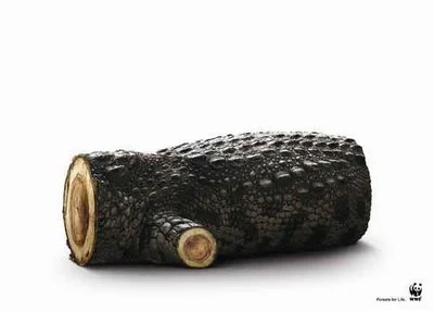 wwf-crocodile