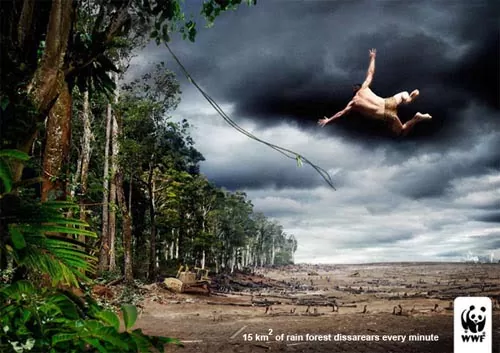 affiches wwf wwf-deforestation1