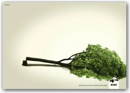 wwf-deforestation3