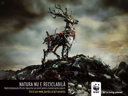 wwf