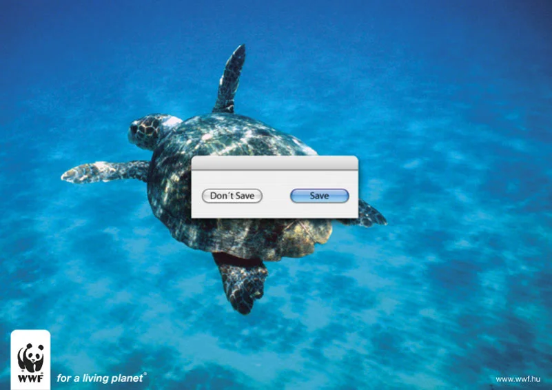wwftortue2ae