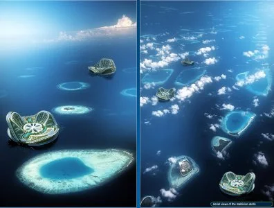 lilypad3