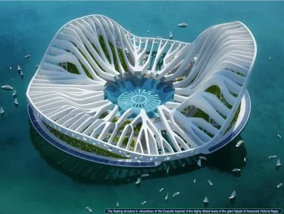lilypad4