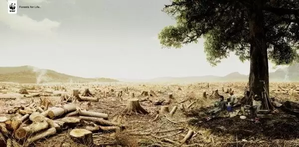 wwf-urgence-climatique wwf-urgence-climatique