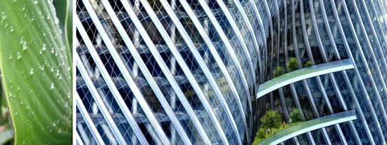 capture-pluie-ecoconstruction-3