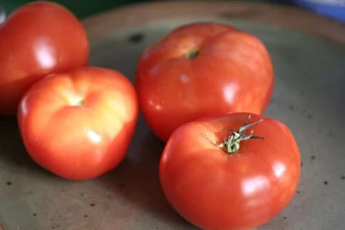 tomates