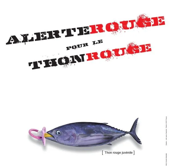 thon-rouge-WWF