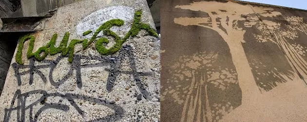 green-grafiti-2010