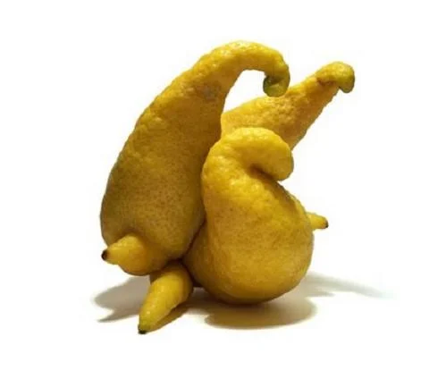 mutato_citron