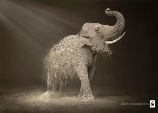 WWF-desertification-1