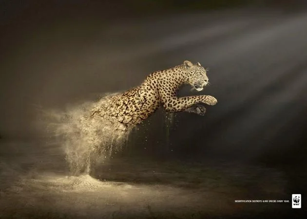 WWF-desertification-2