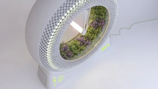 The Green Wheel