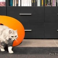 SinDesign - La litiere pour chat dans le salon