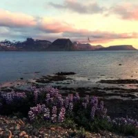 A la découverte de l'Islande