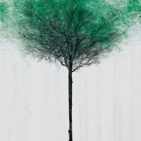 Passage piéton : la toile finale