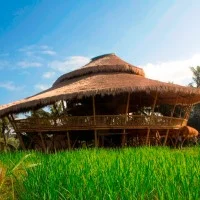 La Green School au coeur de la nature