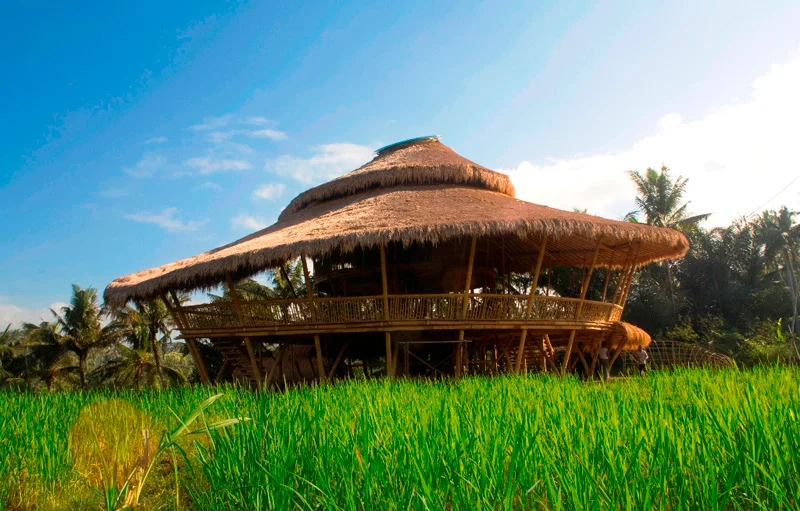 La Green School au coeur de la nature