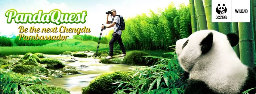 Pambassadeur : la protection du panda autour du monde