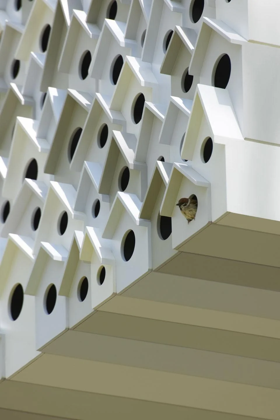 maison aux oiseaux 3