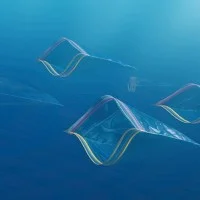 Kim Preston - Plastic Pacific - 1