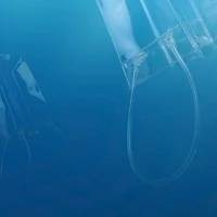 Kim Preston - Plastic Pacific - 3
