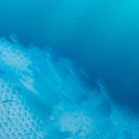 Kim Preston - Plastic Pacific - 4