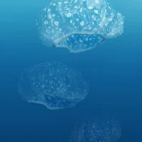 Kim Preston - Plastic Pacific - 5