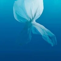 Kim Preston - Plastic Pacific - 6