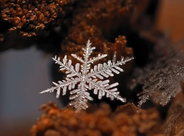 flocon de neige 6