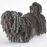 Nirit Levav Packer 1