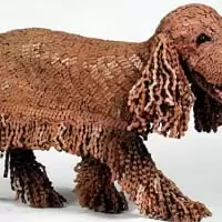 Nirit Levav Packer 3