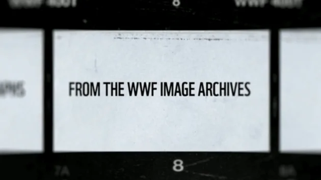 parallax wwf