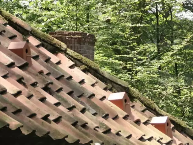 tuiles en céramique birdhouse 3