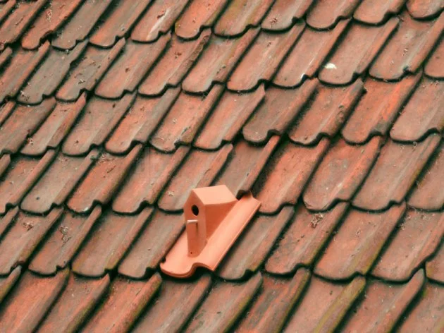 tuiles en céramique birdhouse