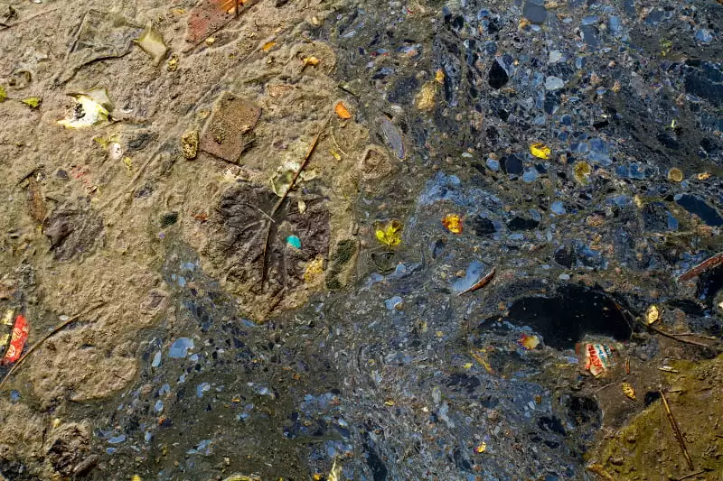 Gowanus Canal William Miller 5