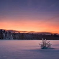 the spirit of winter 1