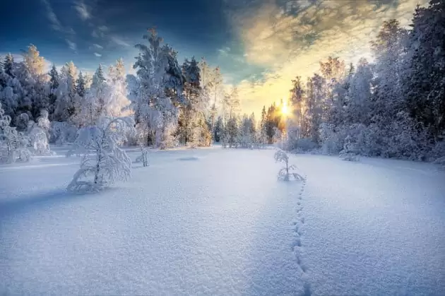 Mikko Lagerstedt