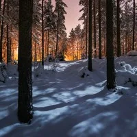 the spirit of winter 5