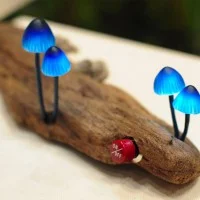 LED Mushroom Yukio Takano 5
