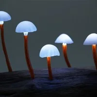 LED Mushroom Yukio Takano