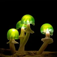 LED Mushroom Yukio Takano 3