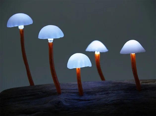 LED Mushroom Yukio Takano