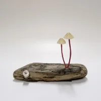 LED Mushroom Yukio Takano 2