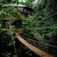Finca Bellavista 2